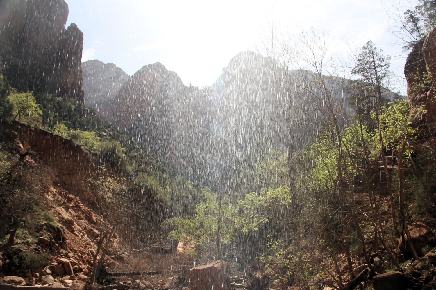 Lower & Upper Emerald & Kayenta Trails 